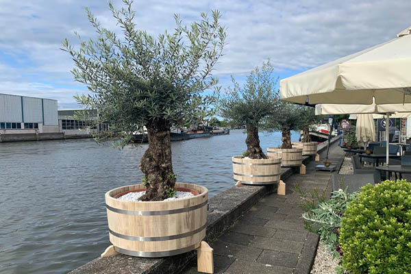 Maatwerk houten plantenkuipen voor Restaurant ’s Molenaarsbrug in Alphen aan den Rijn